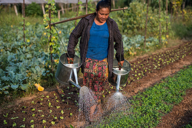 A woman tending to her crops in Lao PDR. 