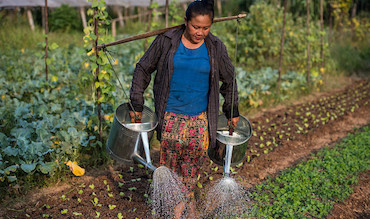 A woman tending to her crops in Lao PDR.