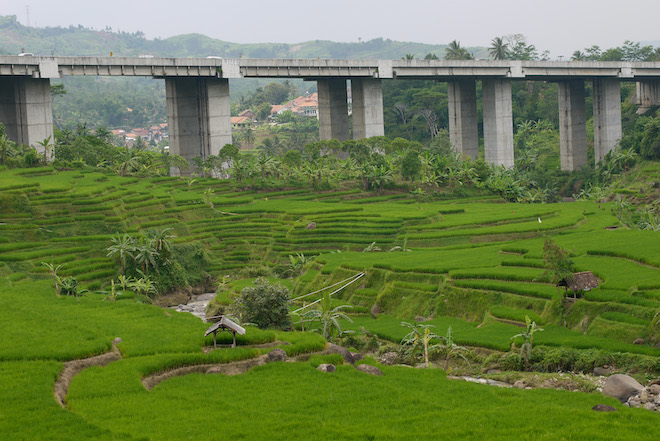 A view of rice terraces in Indonesia with an elevated highway in the background.