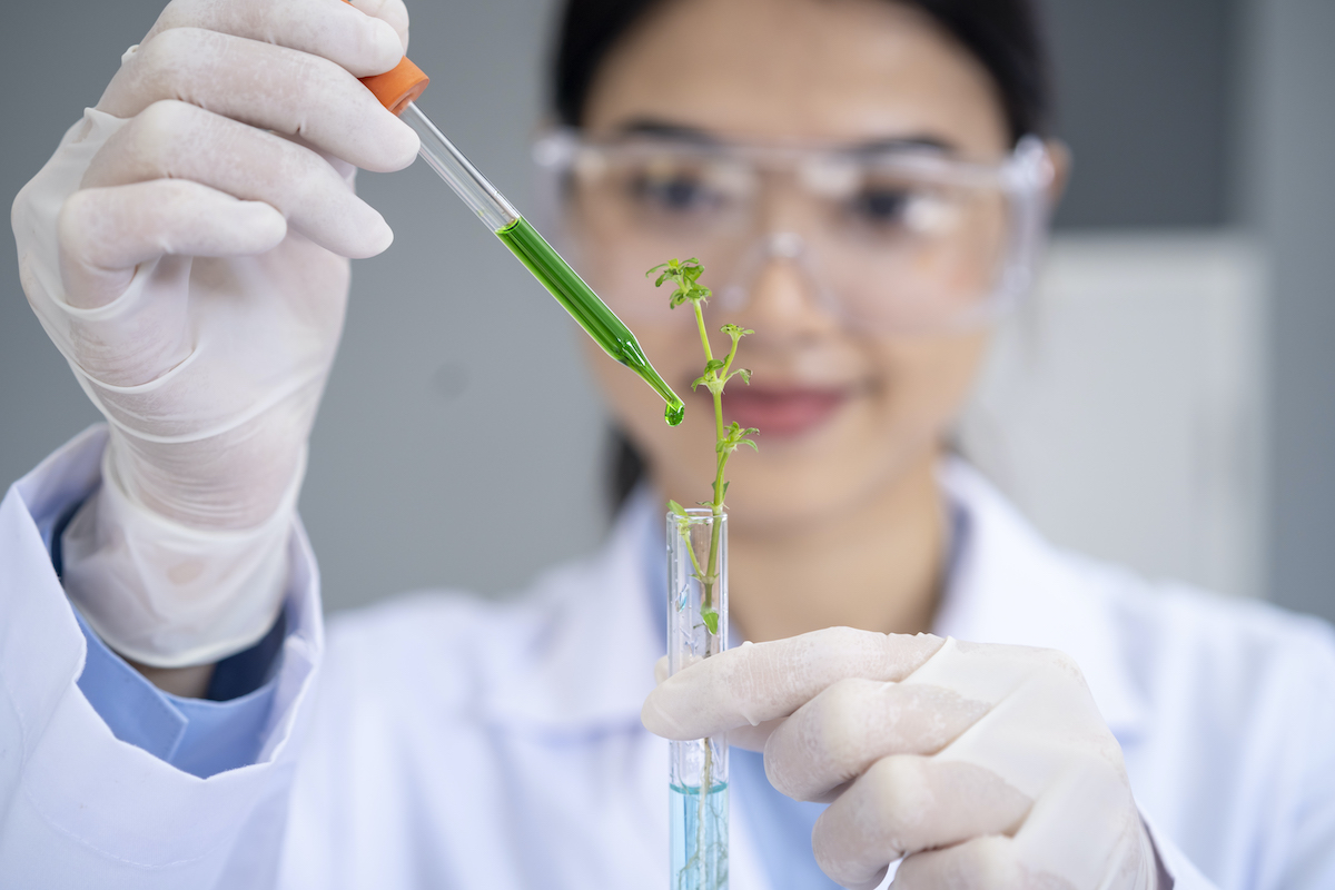 A scientist drops a solution in a test tube with a plant sample inside.