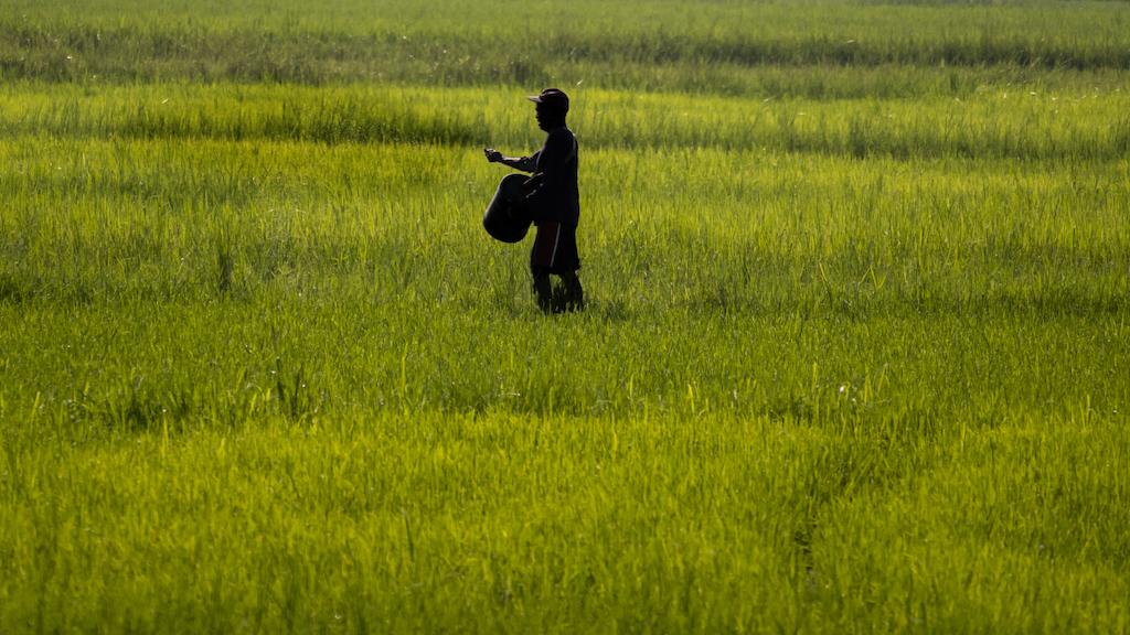 The polycrisis has caused severe disruptions to energy, food, and finance systems in the region. Photo credit: ADB.