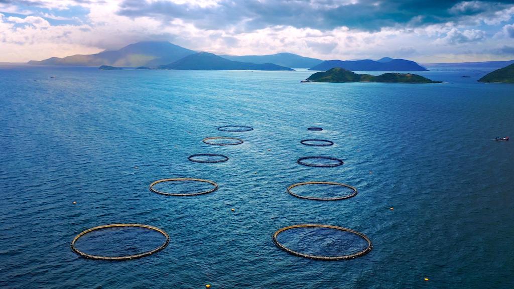 Aquaculture can support low-carbon protein production, while tropical ocean farming is more resilient to climate risks. Photo credit: ADB.