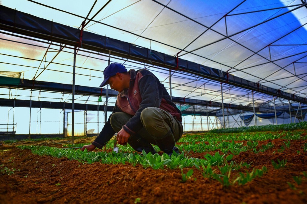 Over the last 2 years, 21 projects have received BKCF grant financing, including those that promote smart farming and support sustainable agriculture value chains. Photo credit: ADB.