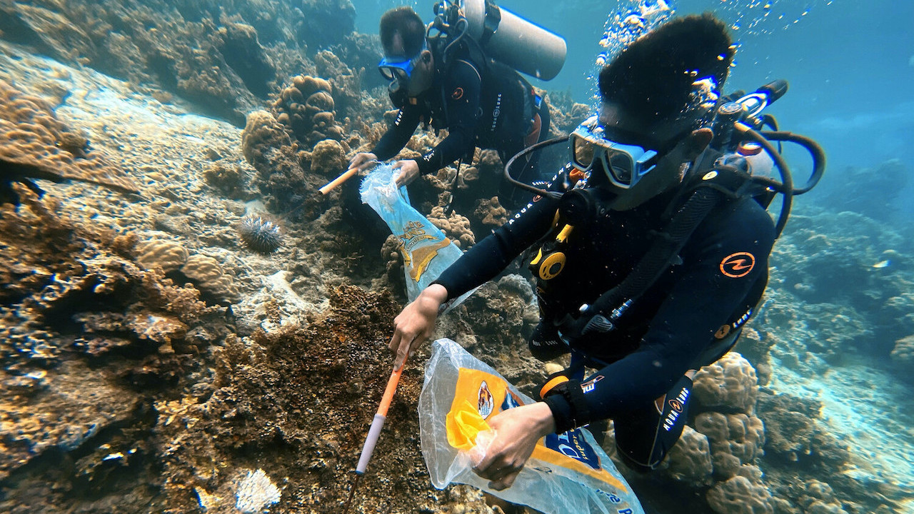 An estimated 85% of tourists in Coron and El Nido engage in snorkeling and diving to explore coral reefs. Photo credit: ADB.