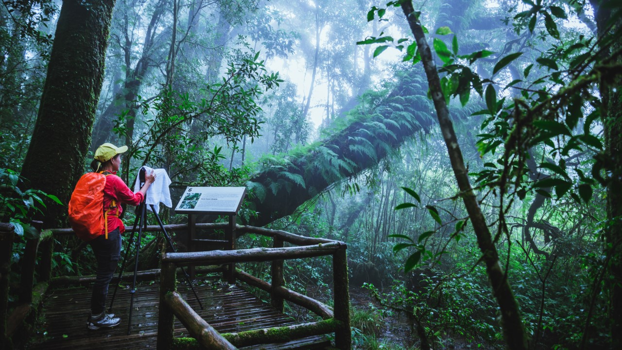     ASEAN has been trying to make tourism more sustainable noting that poorly planned and managed tourism has proven to have negative impacts on the host communities and their environment. Photo credit: iStock/last19.