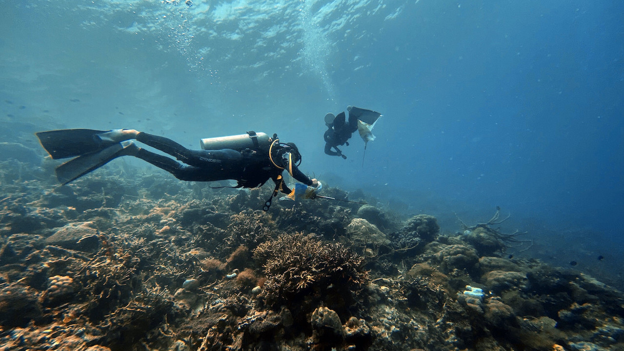 In Palawan, Philippines, divers help clean up the ocean and keep coral reefs healthy. Photo credit: ADB.