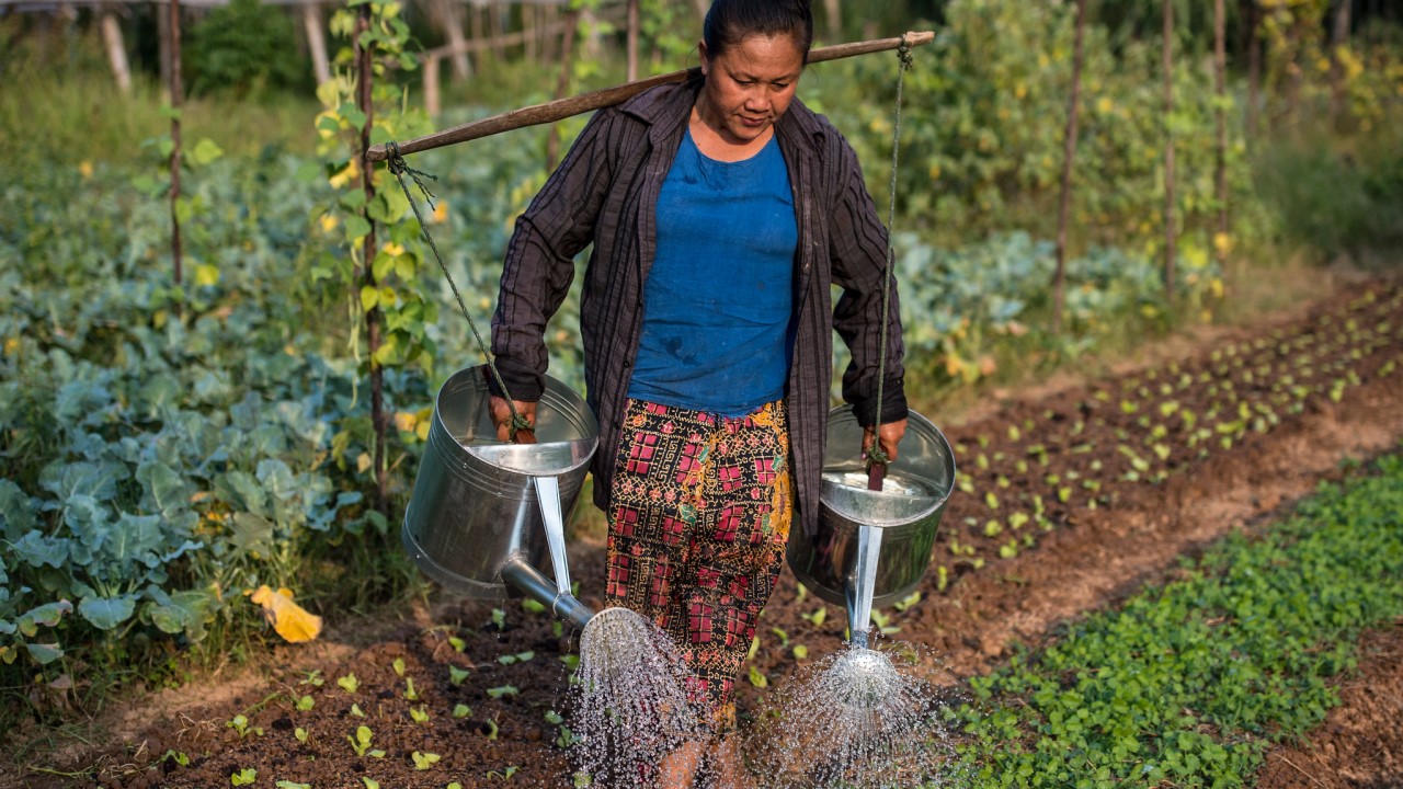 The support will be targeted, integrated, and impactful to help vulnerable people, particularly vulnerable women, in the near-term, while bolstering food systems to reduce the impact of emerging and future food security risks. Photo credit: ADB.