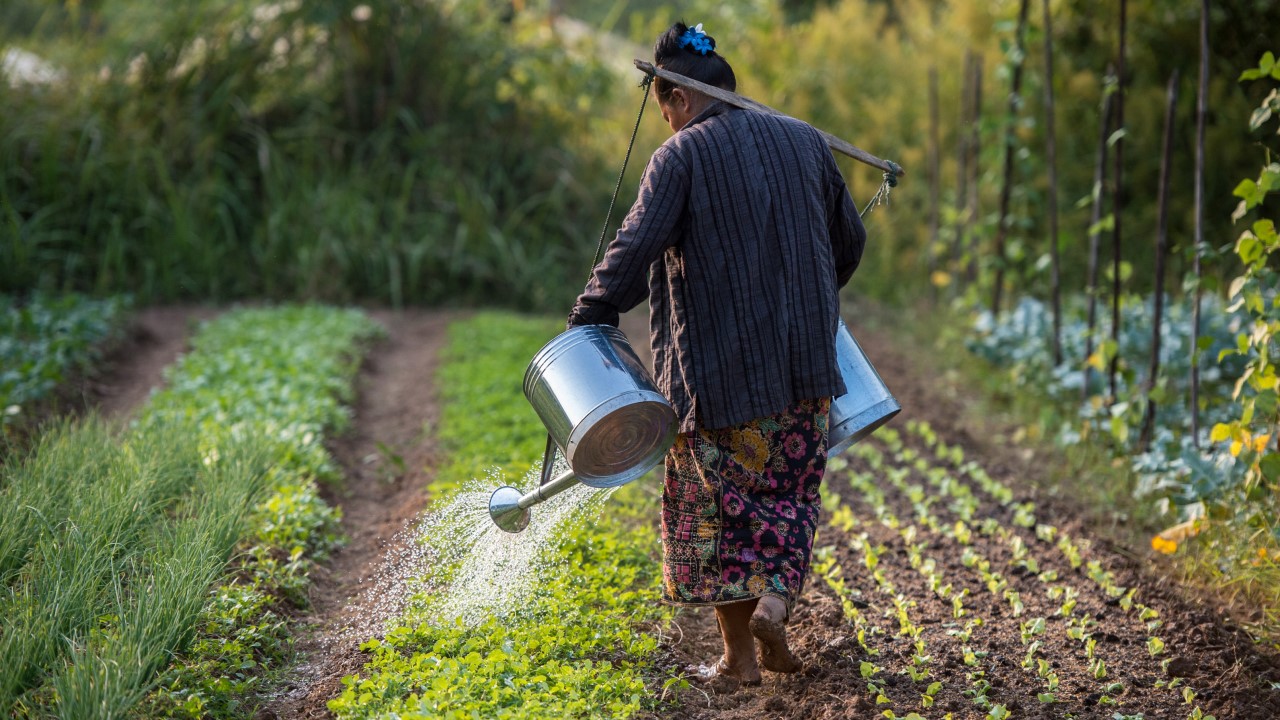 Agriculture is a victim and perpetrator of climate change. Photo credit: ADB.