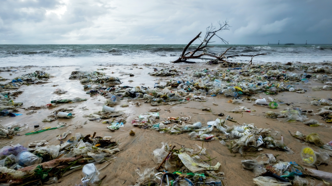 Bali's beach marred by garbage. Photo credit: iStock/Koldunov.