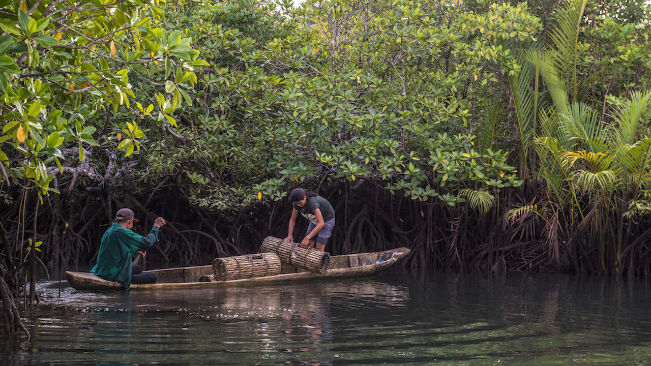 Planting mangroves and restoring wetlands are among the nature-based solutions being piloted in Mindanao. Photo credit: ADB.