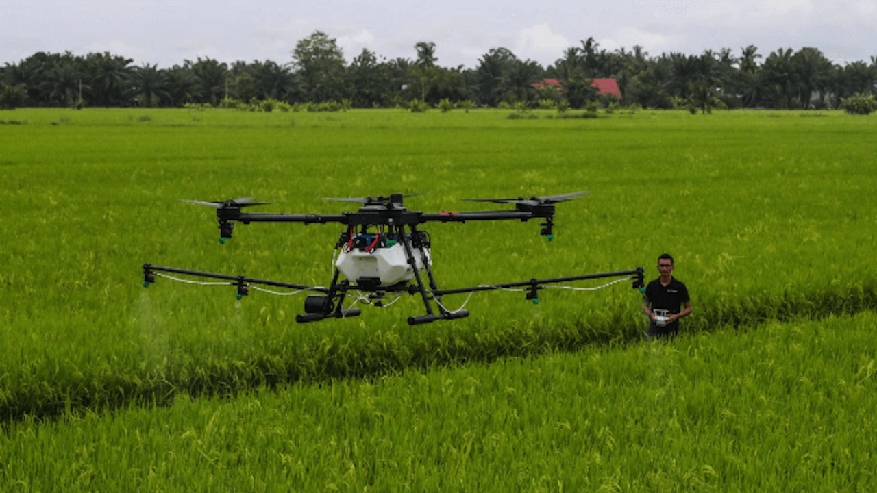 A drone system from Poladrone in flight over a Malaysian field. Photo credit: Courtesy of Tech for Impact.