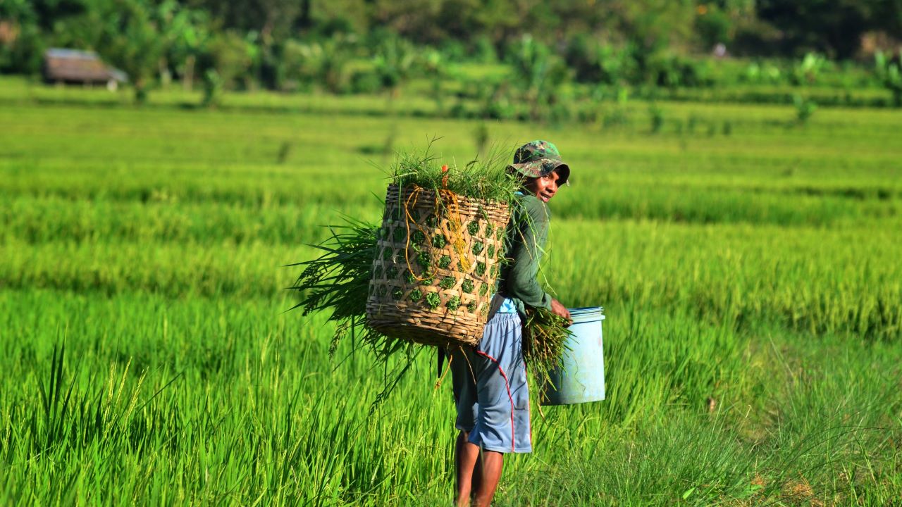 Under the Climate Change Action Program, ADB is supporting the Philippines to enhance the enabling framework for mobilizing public and private climate finance in its priority sectors.  Photo credit: ADB.