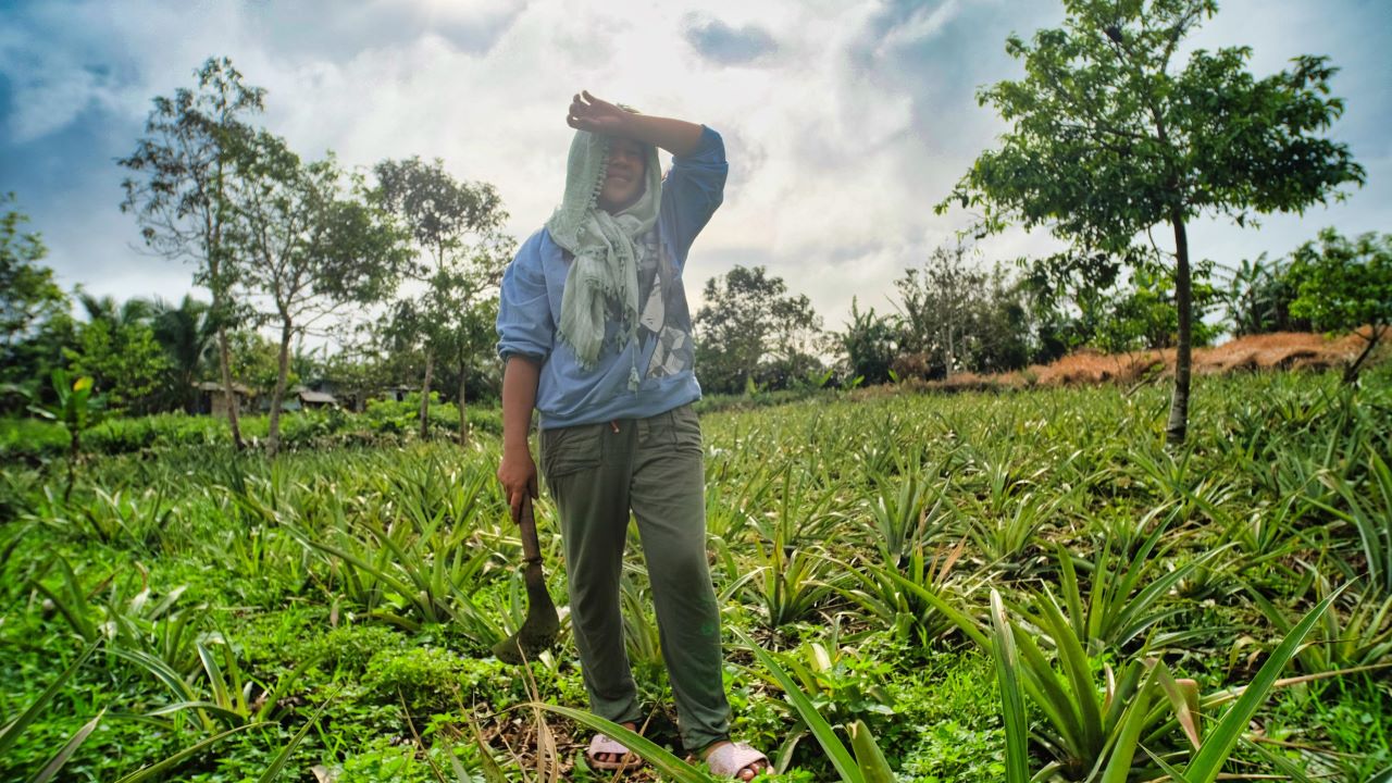 In 2023, the warmest year on record, heatwaves, floods, droughts, wildfires and tropical cyclones intensified across the world, with devastating effects on Southeast Asia and other climate-vulnerable regions. Photo credit: ADB.