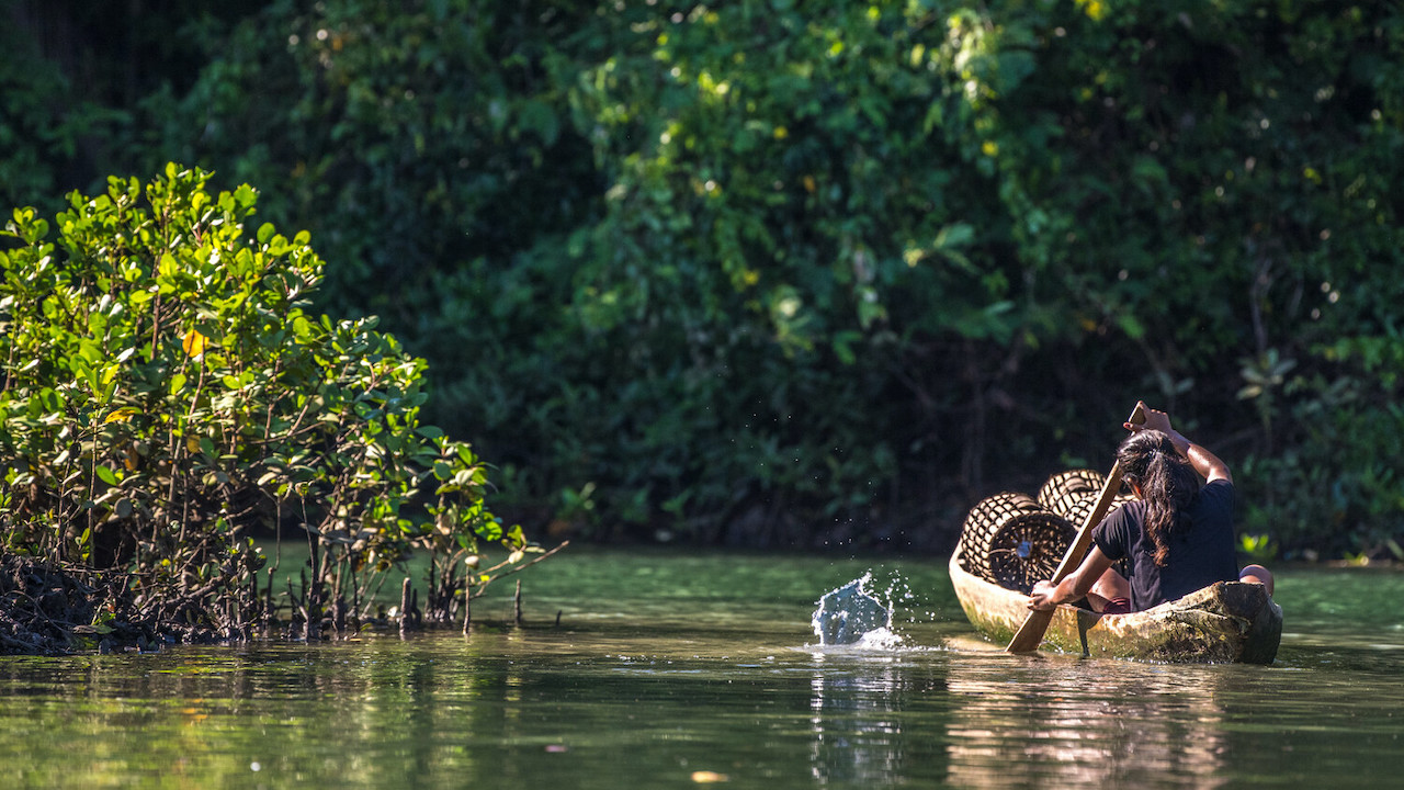 The PENCAS Act is a landmark legislation that institutionalizes the systematic measurement of stock and flows of natural resources and the contributions they provide to society and economy. Photo credit: ADB.