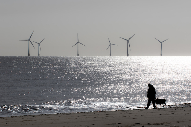 A man walks his dog on the beach with wind turbines in the background.