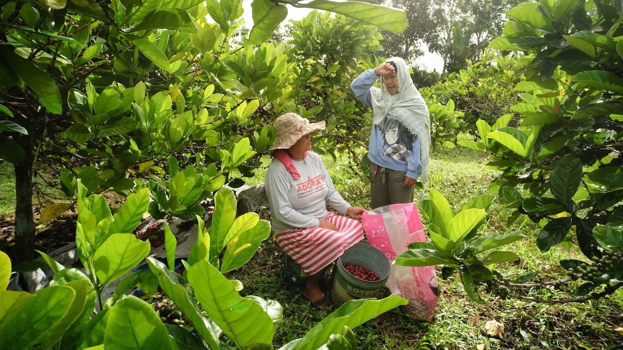 ASEAN is a major producer and exporter of palm oil, crude rubber, rice, sugar, seafood, and fruits. Photo credit: ADB.