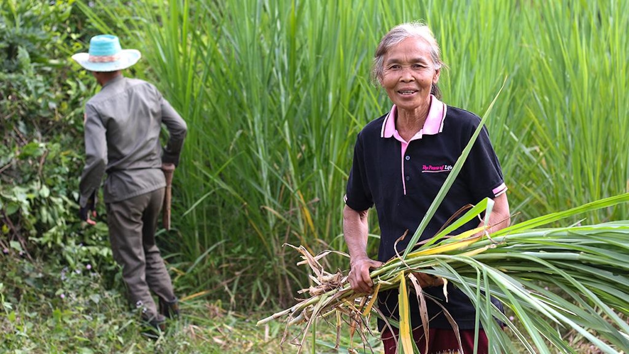 Lao PDR’s agriculture sector holds significant growth potential, spurred by rising domestic and regional demand. Photo credit: ADB.