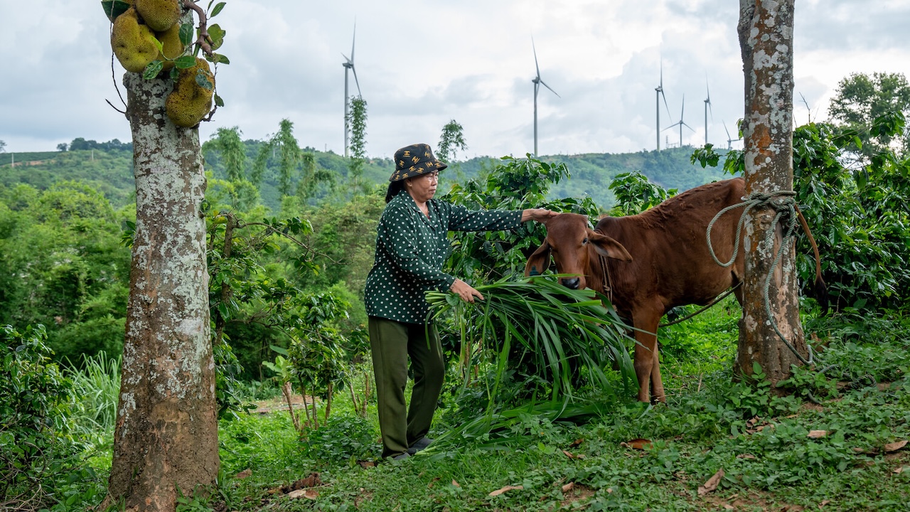 The project created jobs and improved livelihoods, bringing economic prosperity to local communities. Photo credit: ADB.