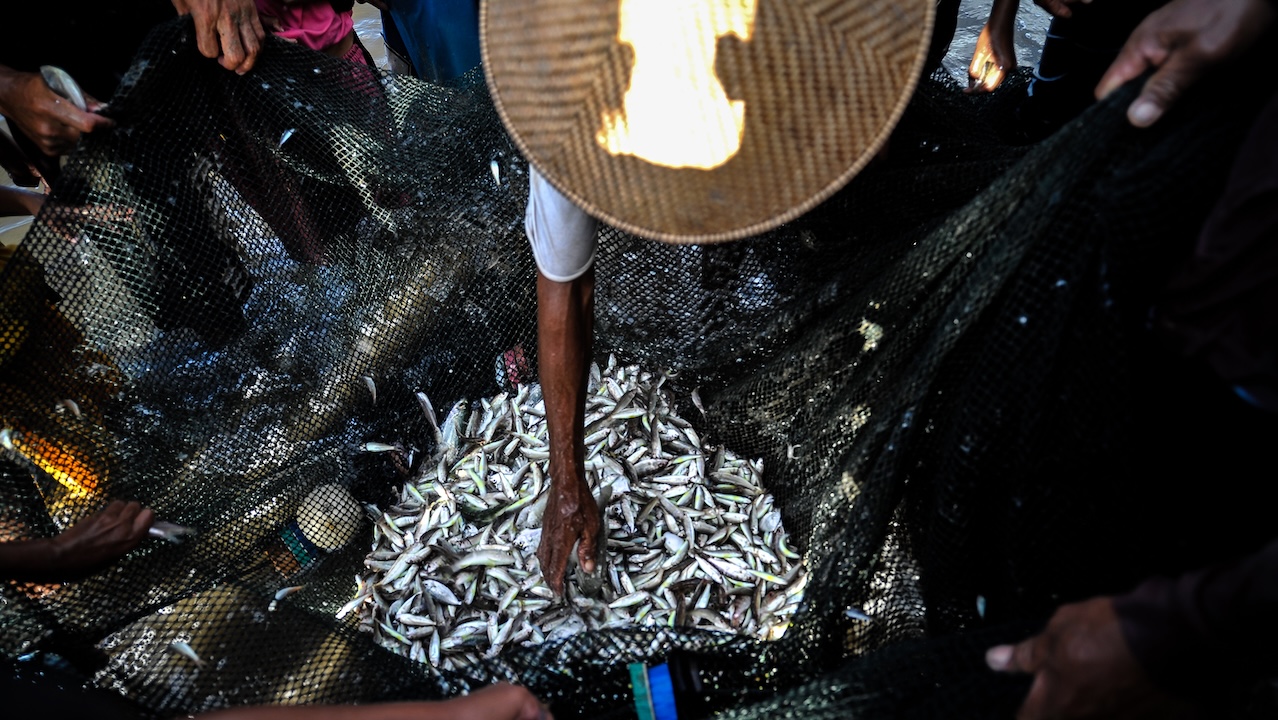 Protecting and restoring coastal and marine ecosystems has become more urgent for billions of people who depend on healthy oceans for their livelihoods, food security, health, and recreation. Photo credit: ADB.
