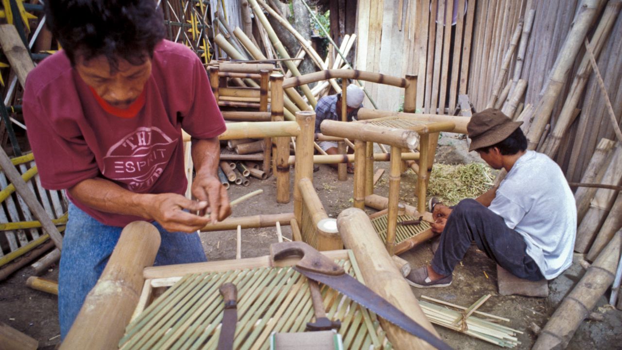 Bamboo has many uses, especially in rural areas where it serves as fuel, housing and furniture material, and even food. Photo credit: ADB.