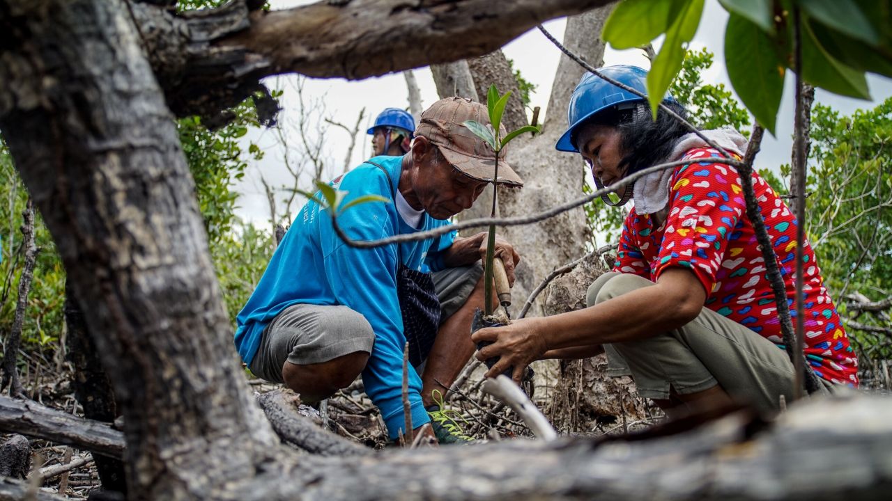 Coastal protection initiatives, such as mangrove planting, strengthen local communities' resilience against storm surges and erosion. Photo credit: ADB.