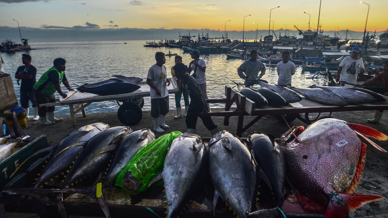 Fisheries and small-scale ports increasingly operate in a complex and shifting landscape due to climate change, ecosystem pressures, and market expectations around traceability, responsible sourcing, and sustainability standards. Photo credit: ADB.