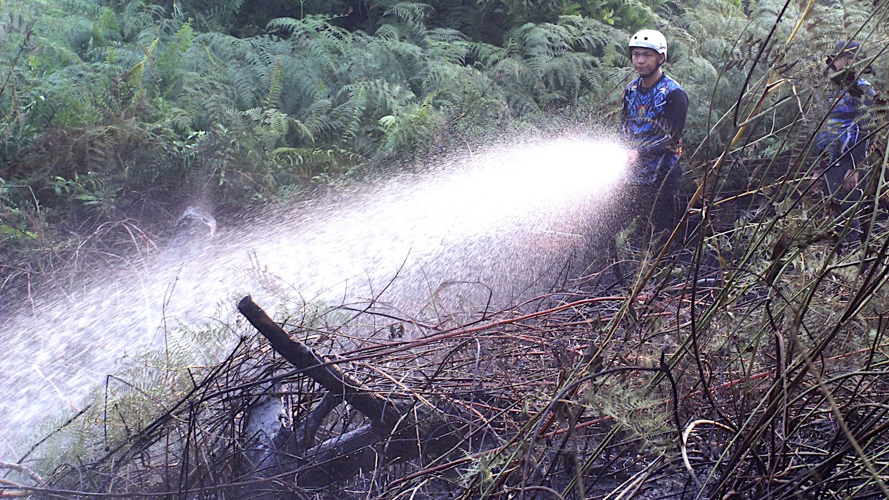 Indonesia is reported to be fighting its worst wildfires in 11 years, with 202,000 hectares gutted between January and July and an additional 600,000 hectares in the succeeding months. Photo credit: iStock/Didindan Bintang.