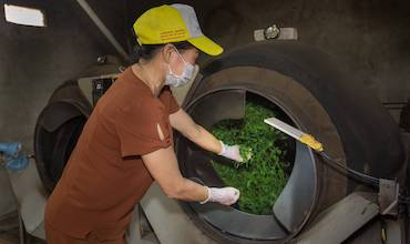 A woman drying tea leaves in a factory in Viet Nam.