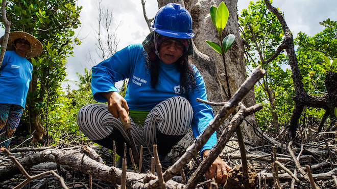 A woman planting mangroves in the Philippines. 