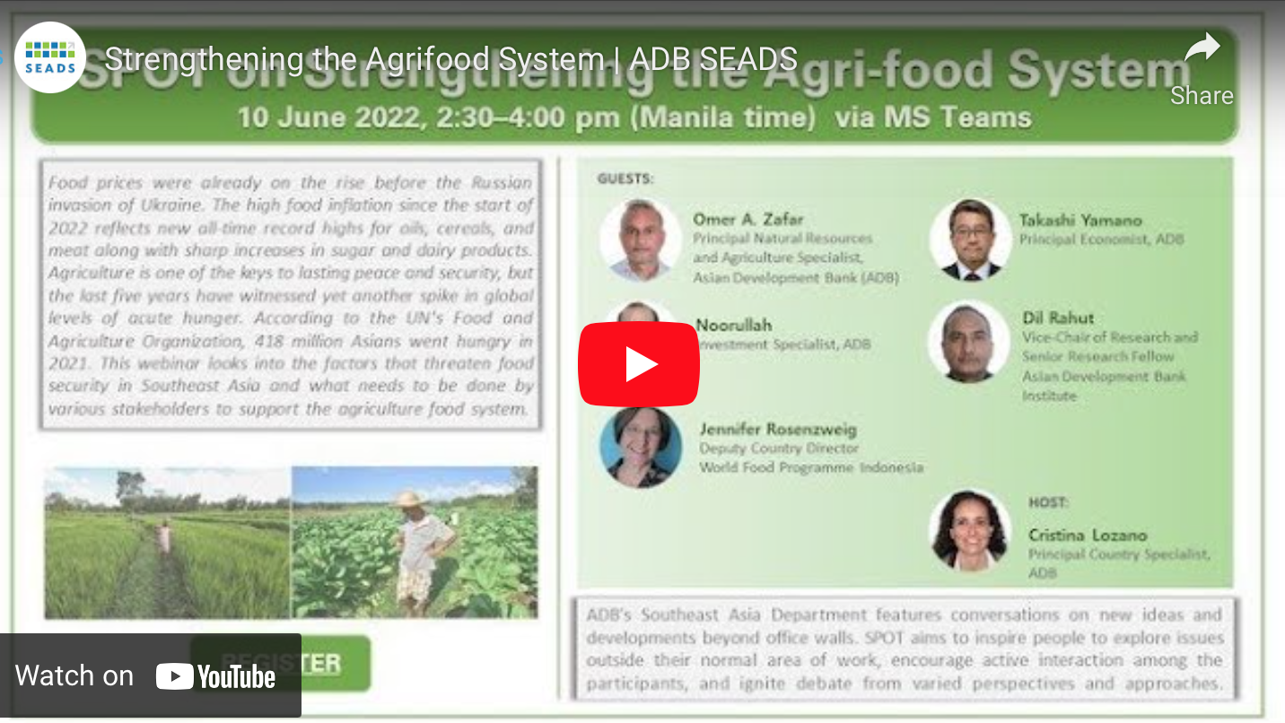Strengthening the Agrifood System