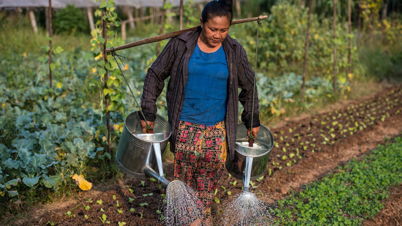 A smallholder farmer watering crops in Lao PDR. Photo credit: ADB.