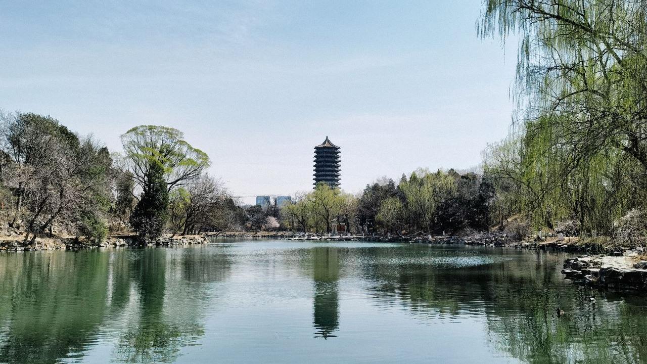 Peking University