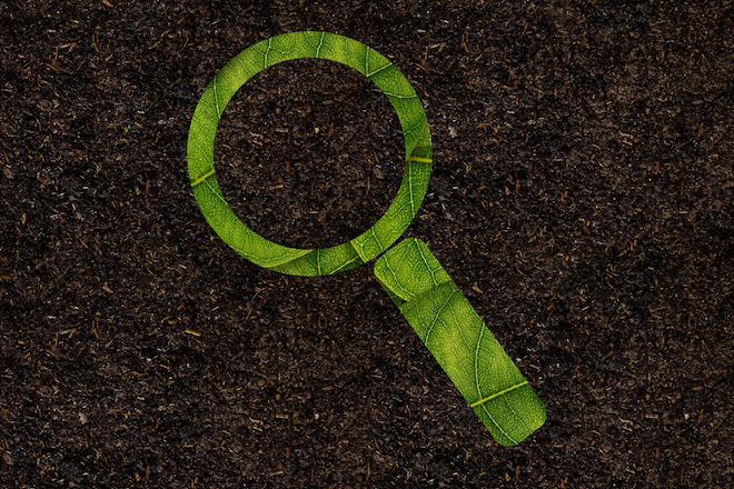 A magnifying glass made up of leaves placed on the soil.