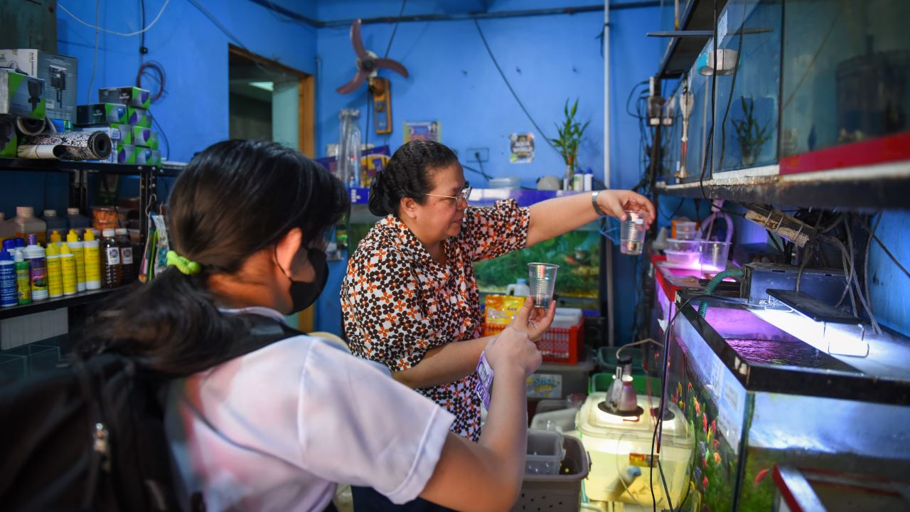 Maranan attends to a customer of her aquatic pet shop. Photo credit: Al Benavente/ADB.