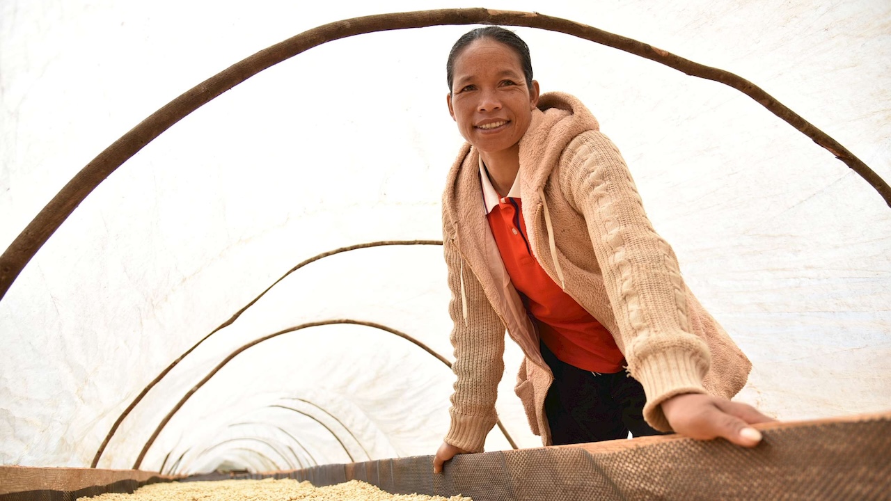  After learning to produce better quality beans in greater quantities, Chandy Xayyaboun, 42, can now sell coffee beans from her farm for a higher price. Photo credit: Courtesy of Care International in Lao PDR/Koungming (Tom) Changleuxai. 