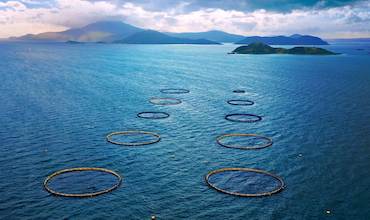 Fish cages used for marine aquaculture dot the ocean.
