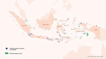 This map shows that while only a small portion of seagrass locations have been verified, they could, in fact, be extensive. (Climateworks Centre)