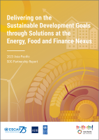 Delivering on the Sustainable Development Goals through Solutions at the Energy, Food and Finance Nexus