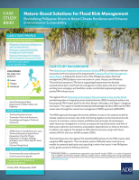 Nature-Based Solutions for Flood Risk Management: Revitalizing Philippine Rivers to Boost Climate Resilience and Enhance Environmental Stability