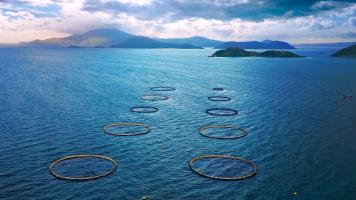 Aquaculture can support low-carbon protein production, while tropical ocean farming is more resilient to climate risks. Photo credit: ADB.