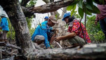 ADB's Nature Solutions Finance Hub for Asia and the Pacific aims to boost investments on nature-based solutions that protect natural ecosystems and foster economic growth. Photo credit: ADB.