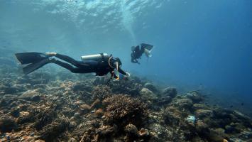 In Palawan, Philippines, divers help clean up the ocean and keep coral reefs healthy. Photo credit: ADB.