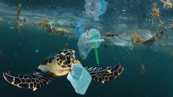 Southeast Asia is a major hotspot for plastic pollution. Photo credit: iStock/richcarey.