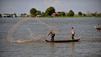 The project will increase the climate resilience and sustainability of coastal and marine fisheries in Cambodia. Photo credit: ADB.