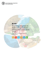 Tracking Progress on Food and Agriculture-Related SDG Indicators 2020 cover photo.