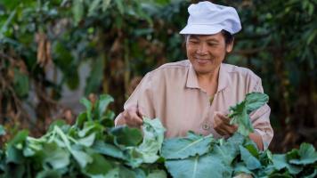 Sustainable agriculture is a way of producing clean, healthy, and nutritious food, while preserving the environment, providing an equitable distribution of economic wealth, and ensuring the health and safety of not just the food produced but also the health and safety of farming communities. Photo credit: ADB.