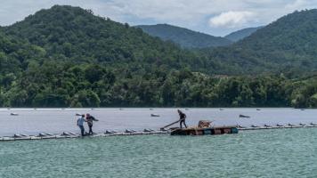 Villagers fish by the floating solar panels at the Da Mi hydropower plant in Binh Thuan, Viet Nam. Photo credit: ADB.