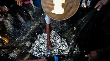 Protecting and restoring coastal and marine ecosystems has become more urgent for billions of people who depend on healthy oceans for their livelihoods, food security, health, and recreation. Photo credit: ADB.