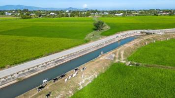 The latest version of the taxonomy includes Version 4 includes the technical screening criteria for the three remaining focus sectors—agriculture, forestry, and fishing; manufacturing; and water supply, sewerage, and waste management. Photo credit: ADB.