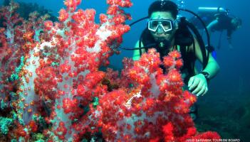 BIMP-EAGA's tourism attractions include diving in Sarawak. Photo credit: Courtesy of the Sarawak Tourism Board.